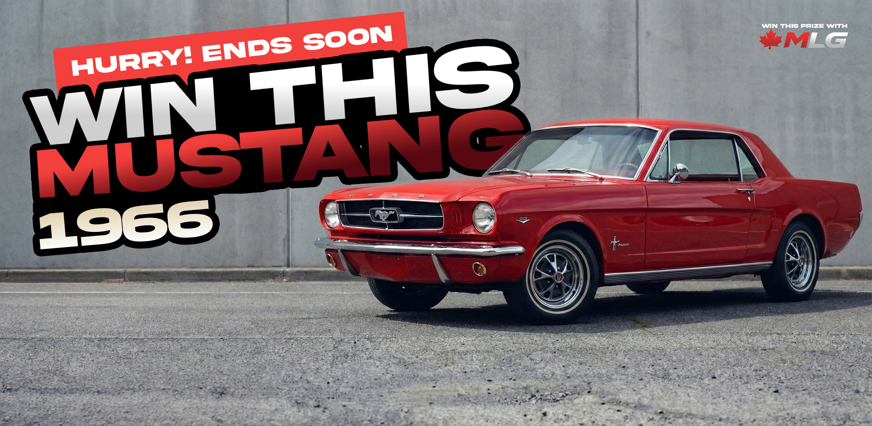 1966 MUSTANG